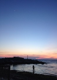 邻居的虎，室友的狼邻居的虎，室友的狼